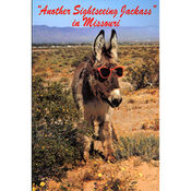 Missouri Postcard 12807 Sightseeing Jack Ass
