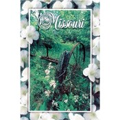 Missouri Postcard 12832 Missouri Past