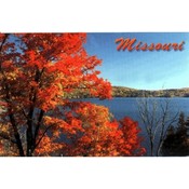 Missouri Postcard 12843 Fall Trees