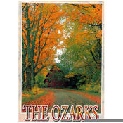 Ozarks Postcard 13041 Fall Shot