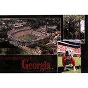 Georgia Postcard  13113 University Of Georgia