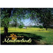 Louisiana Postcard 13215 Meadowlands