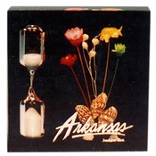 Arkansas Paperweight Lucite Timer