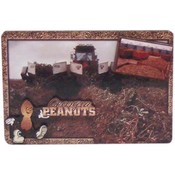 Georgia Magnet 3D Georgia Peanuts