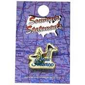 New Mexico Lapel Pin Bird/Flower