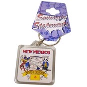 New Mexico Keychain Lucite State Map