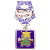 New Mexico Keychain Lucite Map/Flag