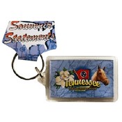 Tennessee Keychain Lucite Elements
