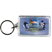 Colorado Keychain Lucite Elements