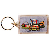 Iowa Keychain Lucite Elements