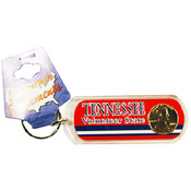 Tennessee Keychain Lucite Lucky Penny