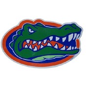 University Of Florida Car Magnet Large Oval 2 Pack