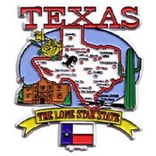 Texas Magnet 2D State Map