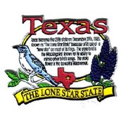 Texas Magnet 2D State History