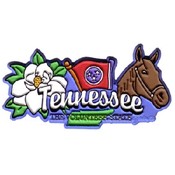 Tennessee Magnet 2D Elements