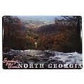 Georgia Magnet P/C North Georgia