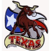 Texas Magnet 2D Longhorn W/State Flag