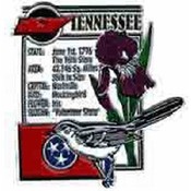 Tennessee Magnet 2D Montage