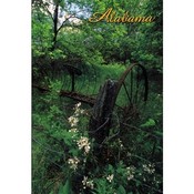 Alabama Postcard Al108 Nostalgic Scene