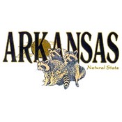 Arkansas Cap Racoon