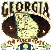 Georgia Adlt T Shirt State Map