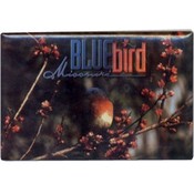 Missouri Magnet P/C Bluebird(Case of 96)