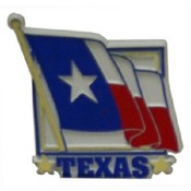 Texas Magnet 2D State Flag