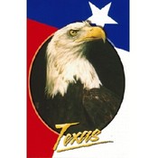 Texas Postcard Tx107 Tx Eagle