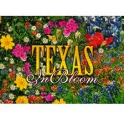 Texas Postcard Tx132 Texas Wildflowers