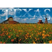 Texas Postcard Tx133 Texas