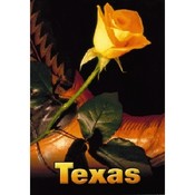 Texas Postcard Tx140 Tx Boot &amp; Flower