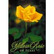 Texas Postcard Tx141 Yellow Rose