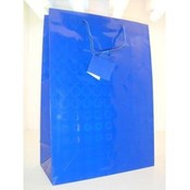 Blue Irridescent Gift Bag