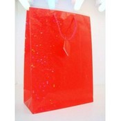 Red Irridescent Gift Bag