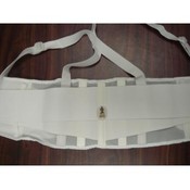 Ergodyne Back Support