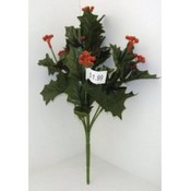 Long Stem Holy Leaf Bushes