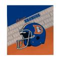 Denver Broncos Book Cover
