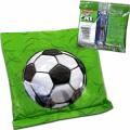 Rubbermaid Soccer Ball Blue Ice Lunch Packs