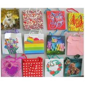 Case of 168 6" Square Gift Bags, Handled