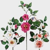 Case of 72 Wild Rose Spray w/Bird