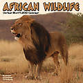 African Wildlife 2010 Calendar 30100-10