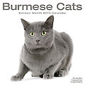 Burmese Cats 2010 Calendar 30413-10