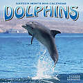 Dolphins 2010 Calendar 30114-10
