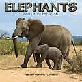 Elephants 2010 Calendar 30405-10