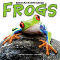 Frogs 2010 Calendar 30401-10
