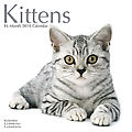 Kittens 2010 Calendar 30140-10