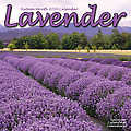 Lavender 2010 Calendar 30437-10
