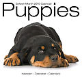 Puppies 2010 Calendar 30424-10