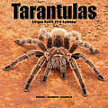 Tarantulas 2010 Calendar 30443-10