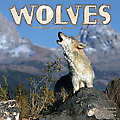 Wolves 2010 Calendar 30116-10